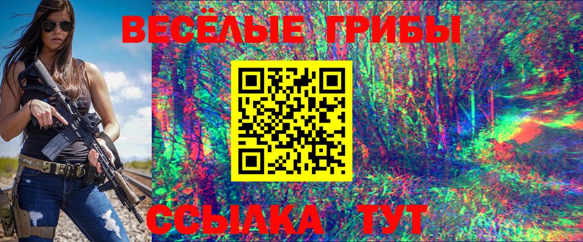 Галлюциногенные грибы Psilocybine cubensis Пермь